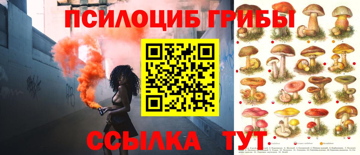 Кисловодск  Псилоцибиновые грибы прущие грибы  Вход с VPN  Псилоцибиновые грибы мицелий 
